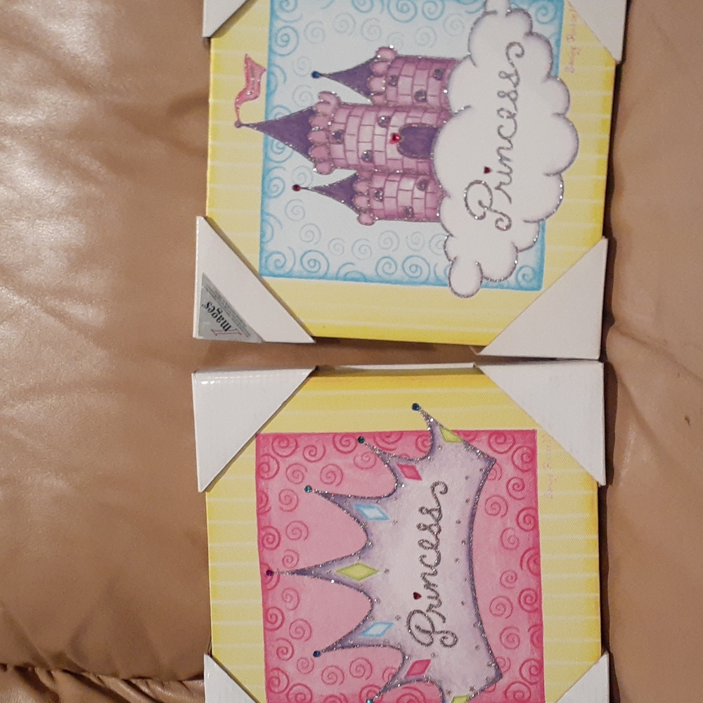Little Girl's Princess Pictures BNIB